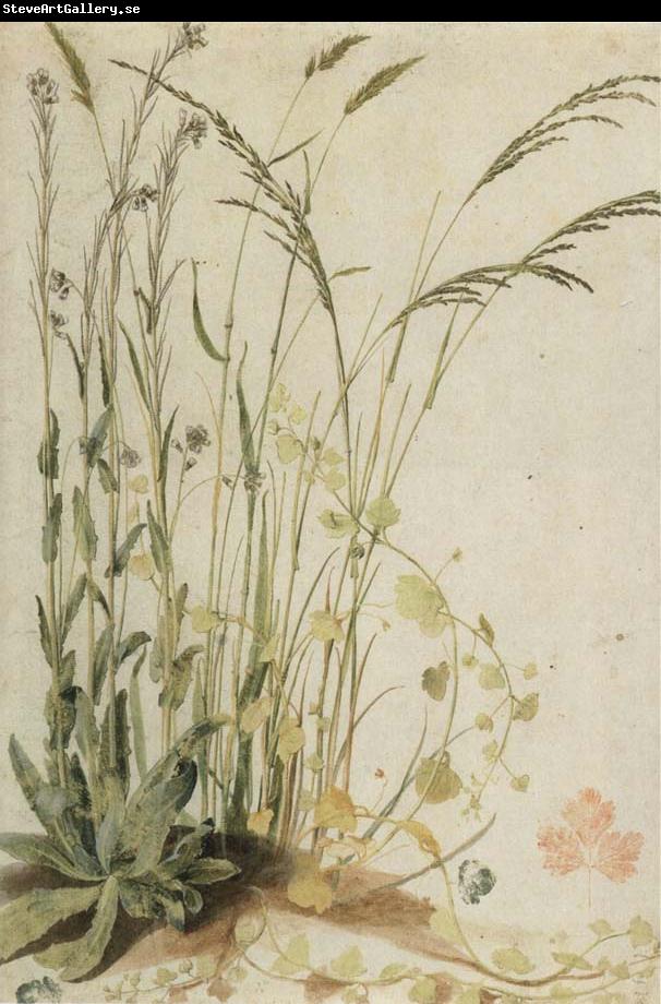 unknow artist Grasses